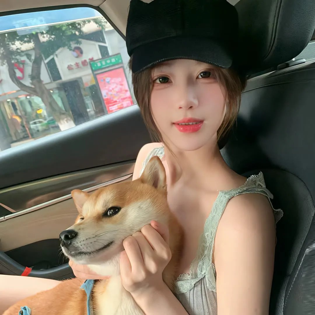 小夜莺 海报